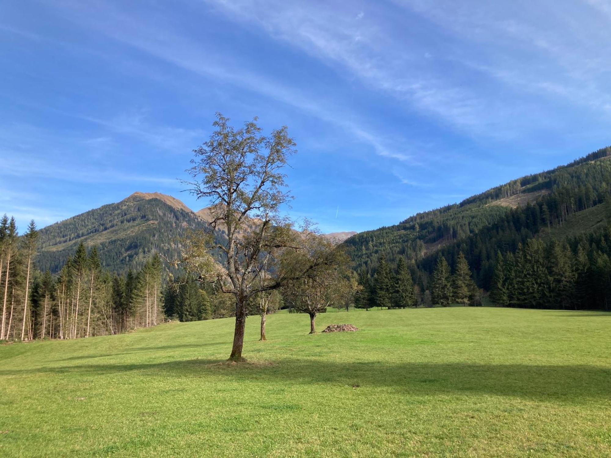 Schaffergut Appartements Donnersbachwald Exterior photo